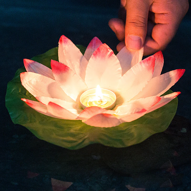 Danube Floods Memorial (2024, Central Europe)