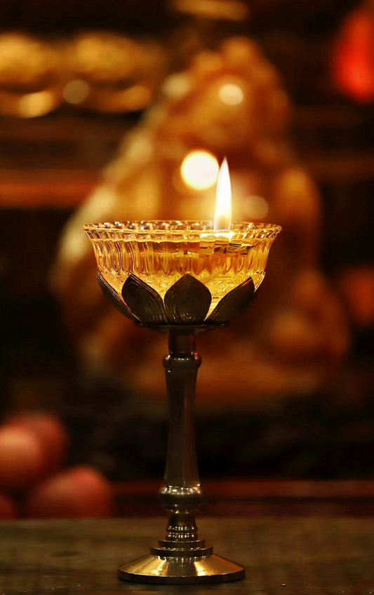 West Africa Cholera Outbreak Memorial (2025)