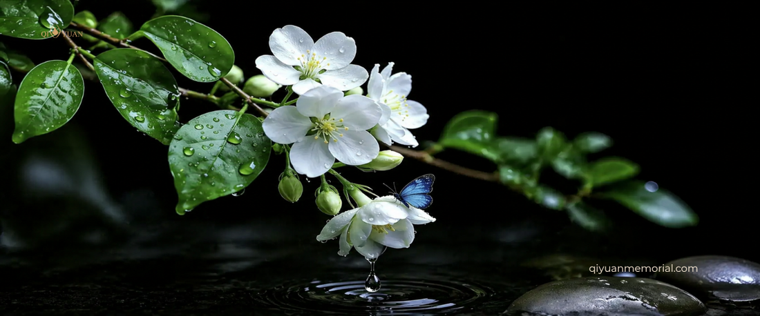 What Qingming Means for Overseas Families