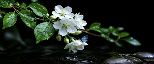 What Qingming Means for Overseas Families