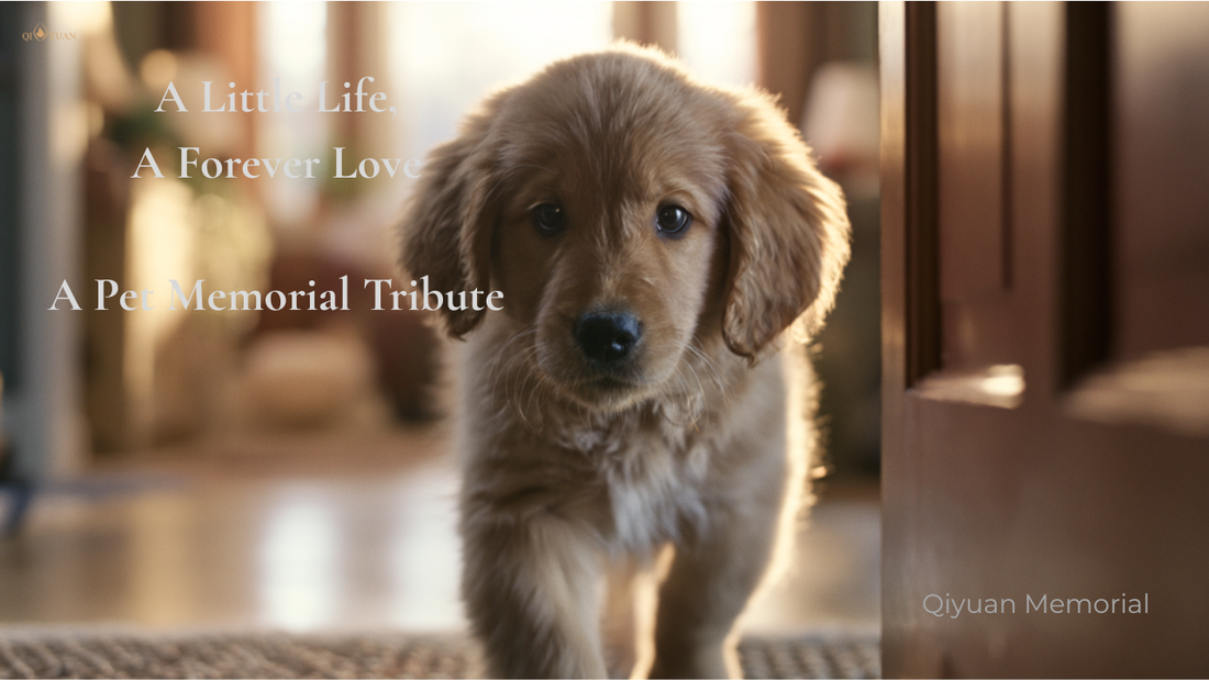 How to Memorialize a Pet That Passed Away: 7 Gentle Ways