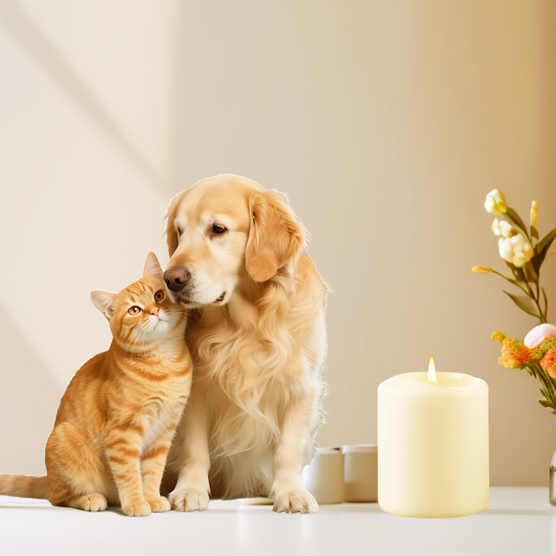 Pet Memorial Plans