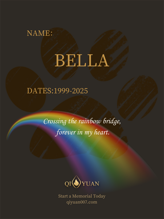 Pet Memorial Wall Art — Custom Rainbow Bridge Print